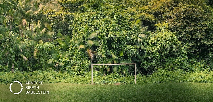 https://asd-law.com/news/nachhaltigkeit-greenwashing-und-werbung-im-sport/ https://asd-law.com/news/nachhaltigkeit-greenwashing-und-werbung-im-sport/